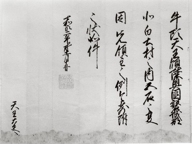  写真を拡大してみる