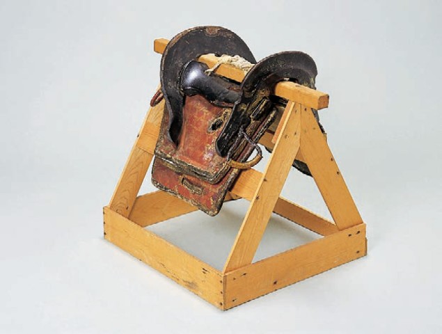  写真を拡大してみる