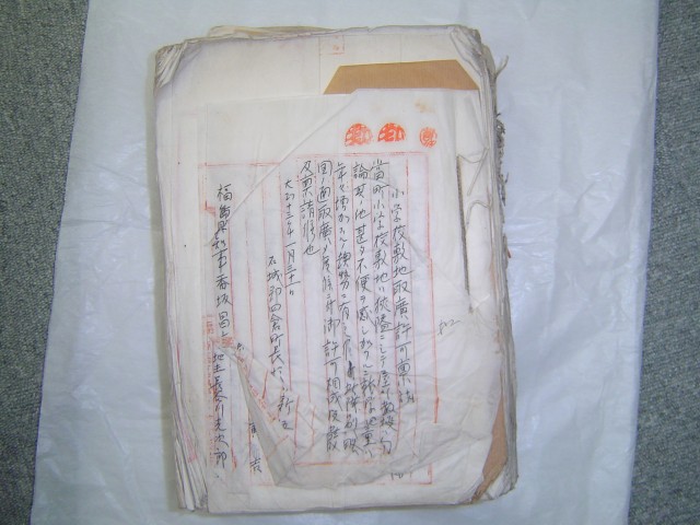  写真を拡大してみる