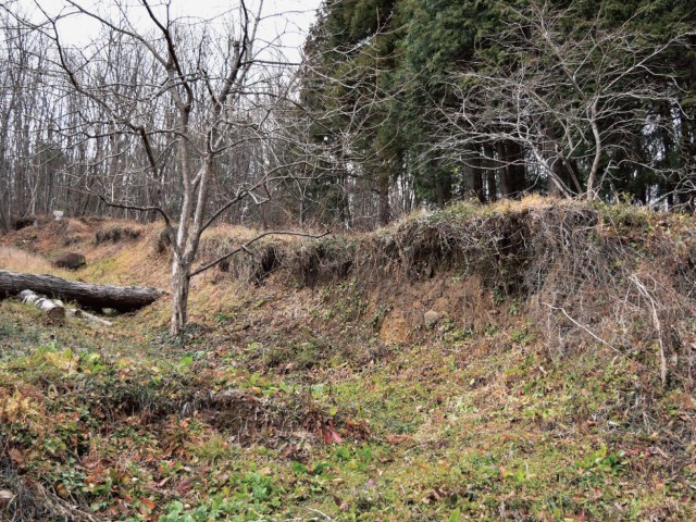  写真を拡大してみる