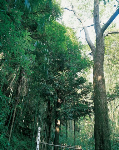  写真を拡大してみる