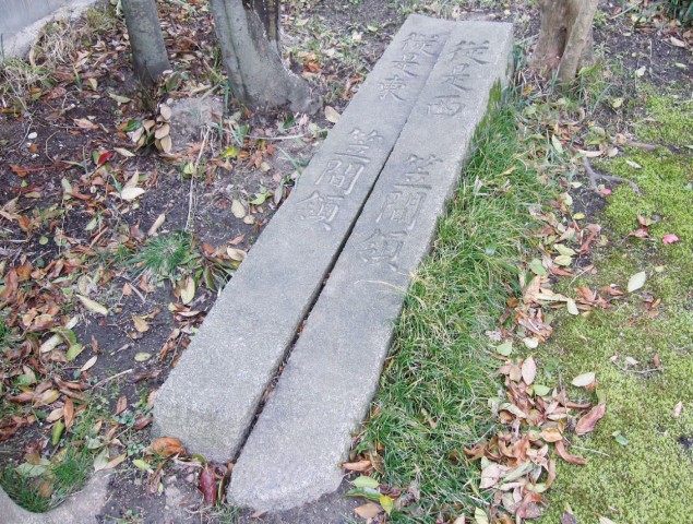  写真を拡大してみる