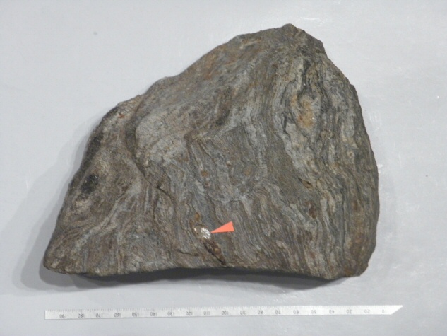 珪線石｜いわきデジタルミュージアム