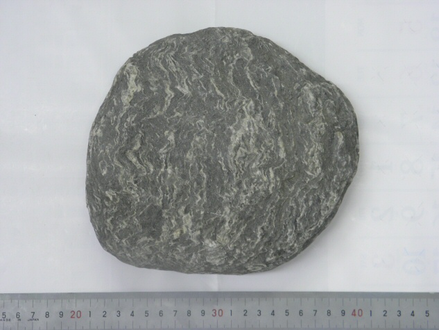 石英片岩 (Quartz schist)｜いわきデジタルミュージアム