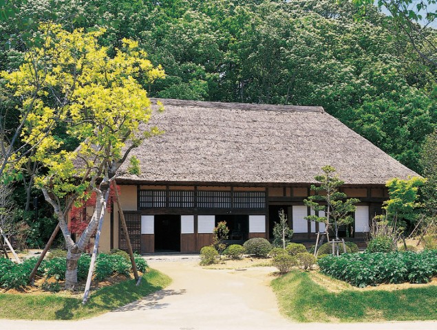  写真を拡大してみる