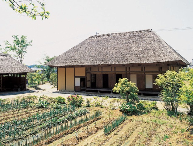  写真を拡大してみる