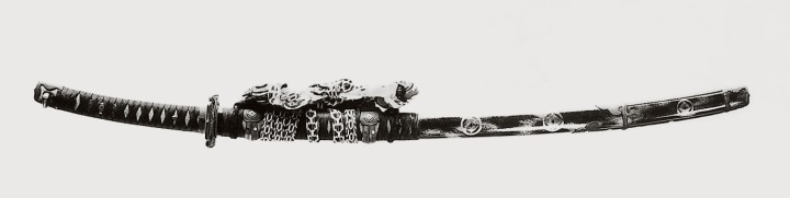  写真を拡大してみる