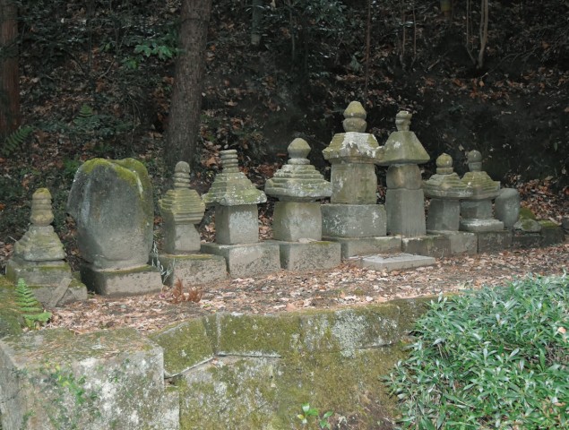  写真を拡大してみる